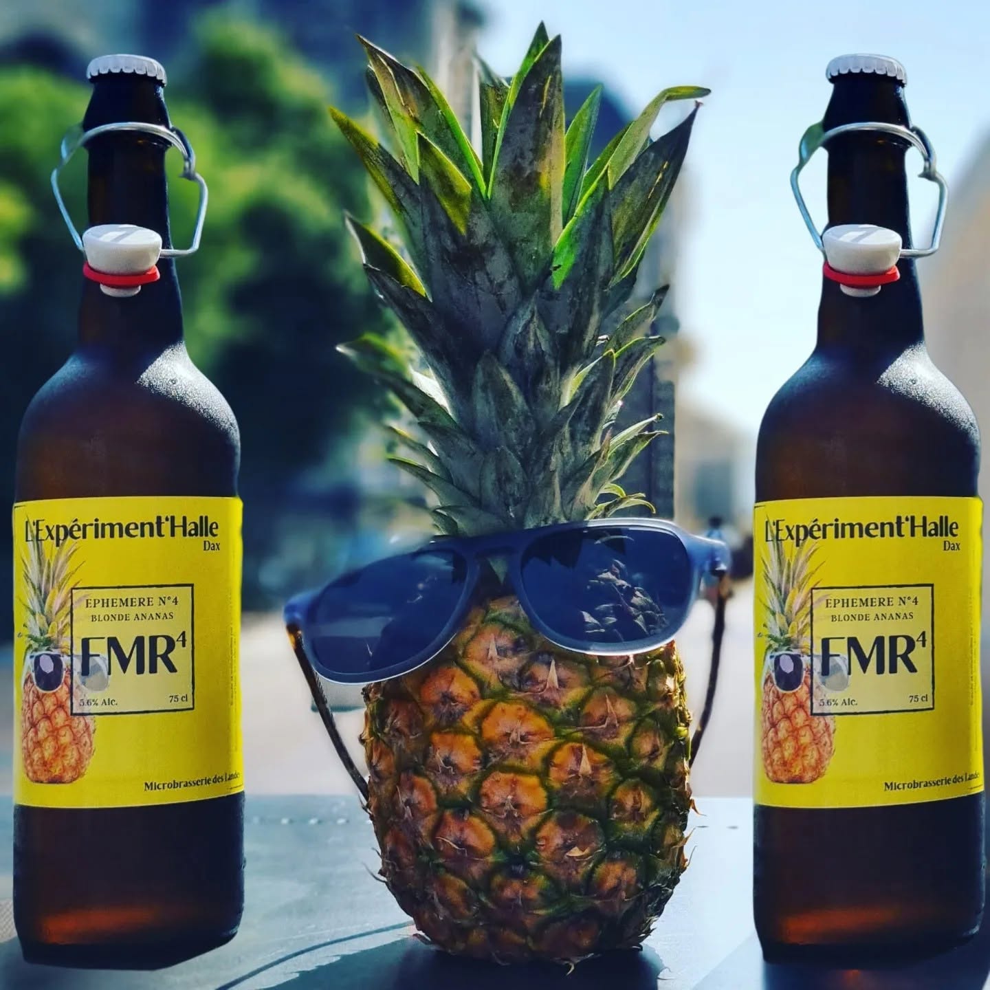 Biere-d-ete-experiment-halle.jpg